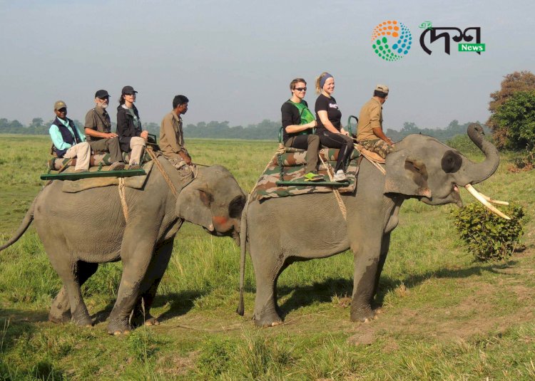 কাজিৰঙাত বৃদ্ধি পাইছে দেশী বিদেশী পৰ্যটনৰ আগমন : সোনালী বাঘ আৰু নদী পৰ্যটনে আকৰ্ষণ কৰিছে পৰ্যটকক :