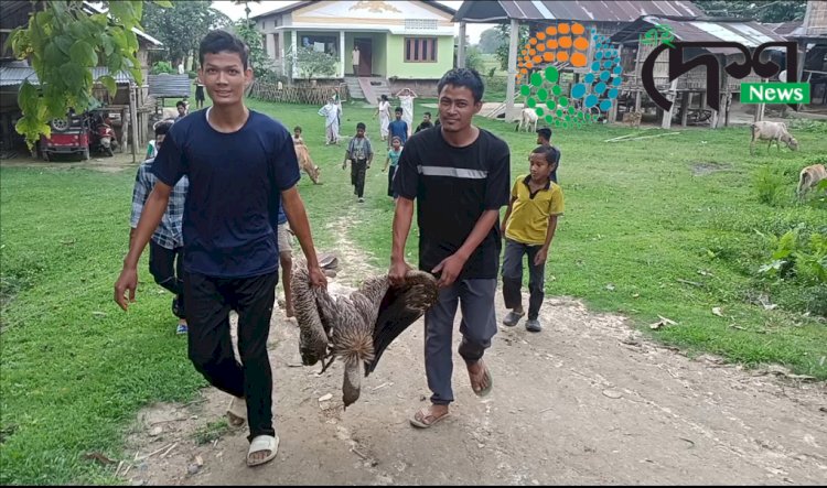 বোকাখাতৰ বহিখোৱা পথাৰৰ পৰা শগুন উদ্ধাৰ : বিহ ক্ৰিয়া হোৱাৰ সন্দেহ : বন্যপ্ৰাণী পুনৰ সংস্থাপন আৰু সংৰক্ষণ কেন্দ্ৰত চিকিৎসা প্ৰদান কৰা হৈছে শগুনটোৰ :