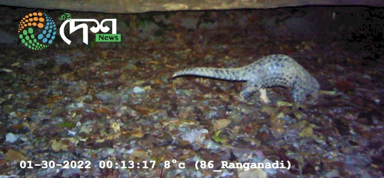ৰাইম’না ৰাষ্ট্ৰীয় উদ্যানত বিপন্ন চীনা প্ৰজাতিৰ বনৰৌৰ উপস্থিতিৰ প্ৰমানিক তথ্য সংগ্ৰহ ⦂