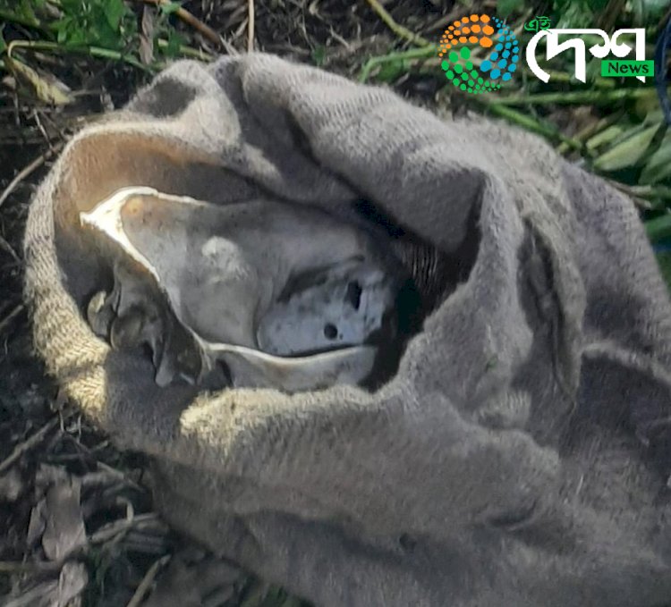 গহপুৰত ঢেকীয়াপতীয়া বাঘৰ হাঁড় উদ্ধাৰ : ঘটনা সম্পৰ্কত ৫ জনক আটক  :