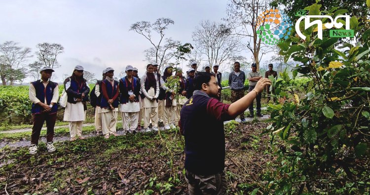 Special Nature Walk Trekking by Students of Chandra Nath Bezbaruah College, Bokakhat: Study of Forest Biodiversity.