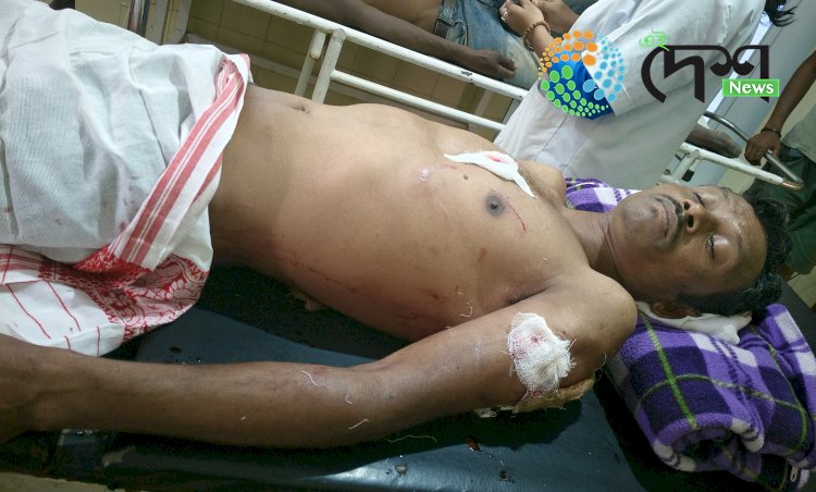 One Injured in Leopard Attack at Lakhowjan Tea Estate, Bokakhat.