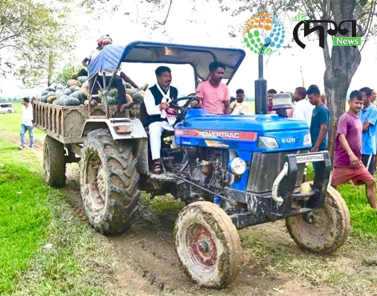 বৰ্হিৰাষ্ট্ৰ নেপালৰ লগতে পশ্চিম বংগ, ত্ৰিপুৰা, দিল্লীলৈ বোকাখাত সমজিলাৰ চহলা পথাৰৰ ৰঙালাউ : পুৰ্বৰ কৃষিবৰ্ষতকৈ লাভান্বিত হৈছে কৃষক :