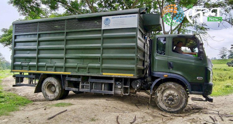 Second Batch of Wild Buffaloes Sent from Kaziranga’s Agoratoli Range to Kanha Tiger Reserve, Madhya Pradesh – Total of 8 Translocated So Far.